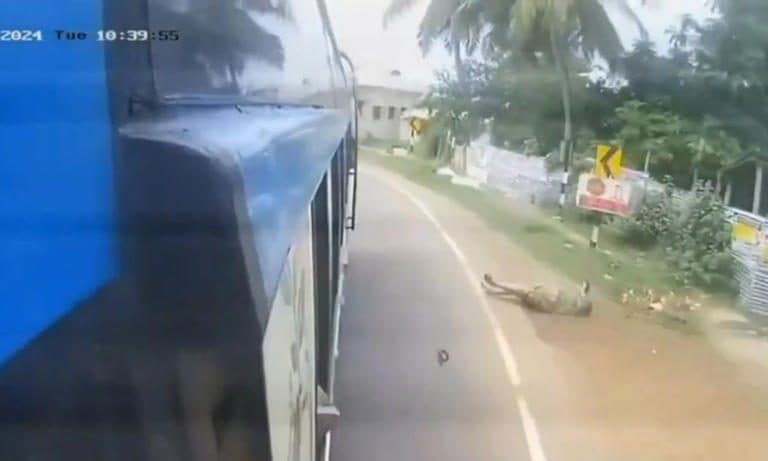 Mujer cae por puerta trasera de autobús en movimiento