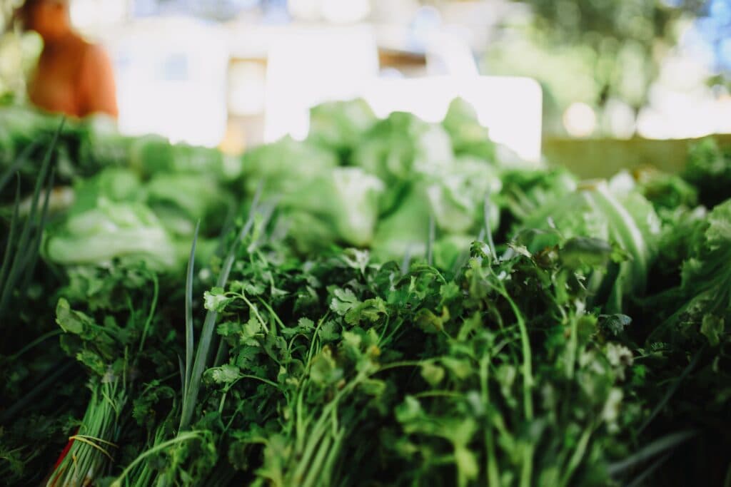 Verduras frescas en un mercado, incluyendo lechuga y cilantro, en el contexto de alerta sanitaria por ciclosporiasis en México.