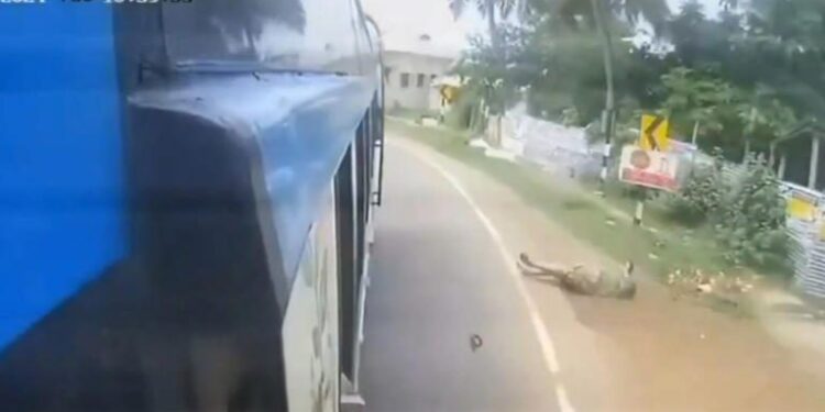 Mujer cae por puerta trasera de autobús en movimiento