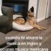 Lomito reacciona al escuchar música en español