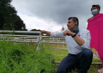 Alineada al Programa Nacional de Soberanía Alimentaria, la transformación del campo en Puebla: Armenta