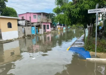 Emergencia en Tamaulipas ante crecida de río Pánuco: monitorean niveles en tiempo real